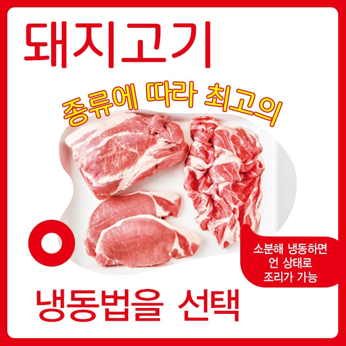 카드뉴스16