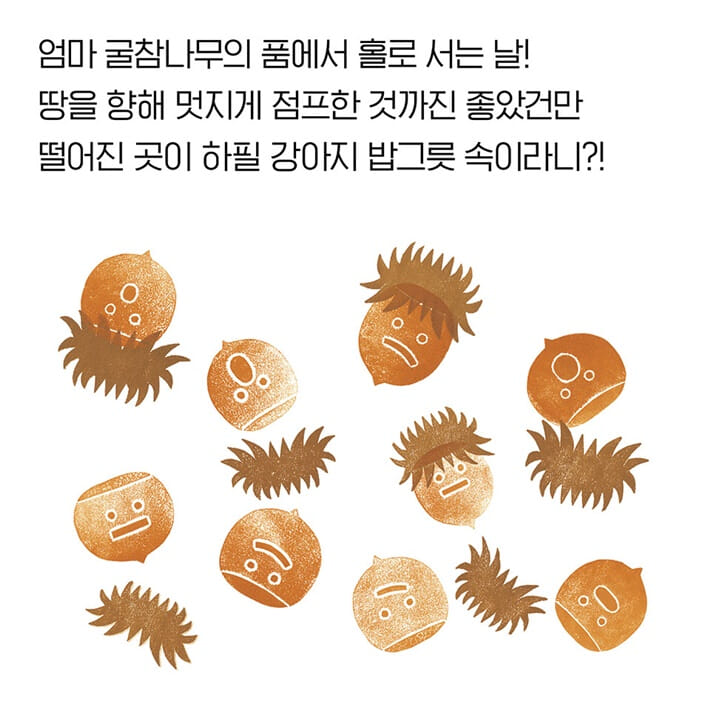 카드뉴스4
