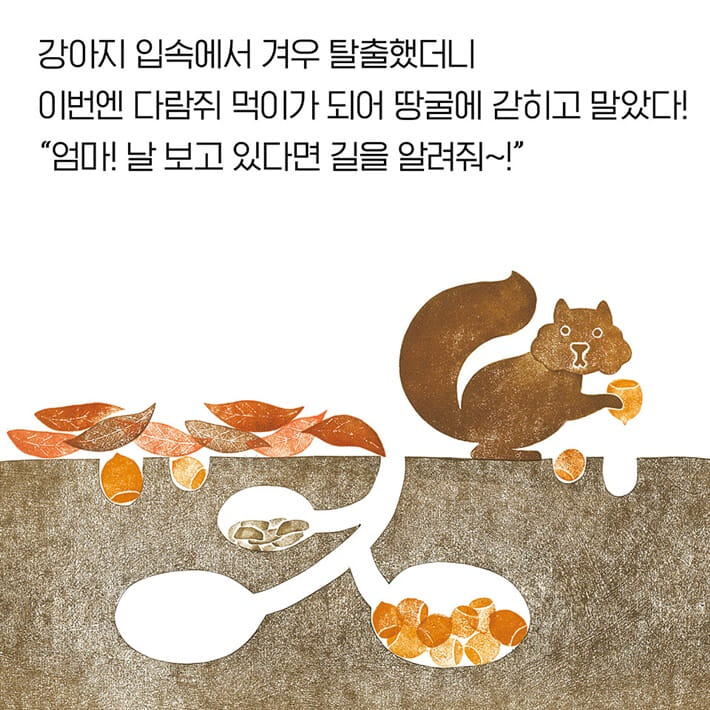 카드뉴스5