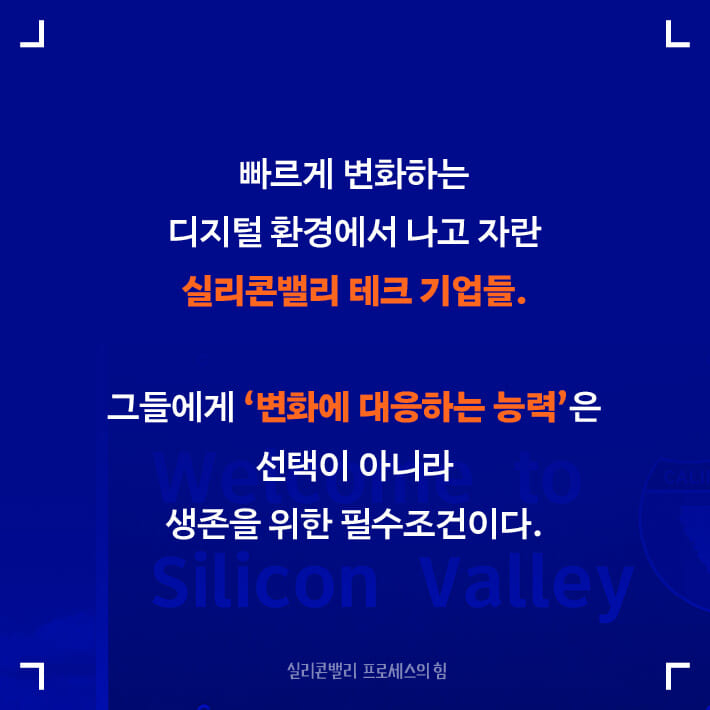 카드뉴스2