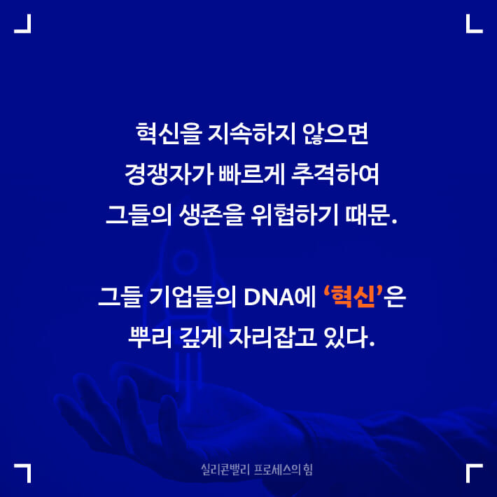 카드뉴스3