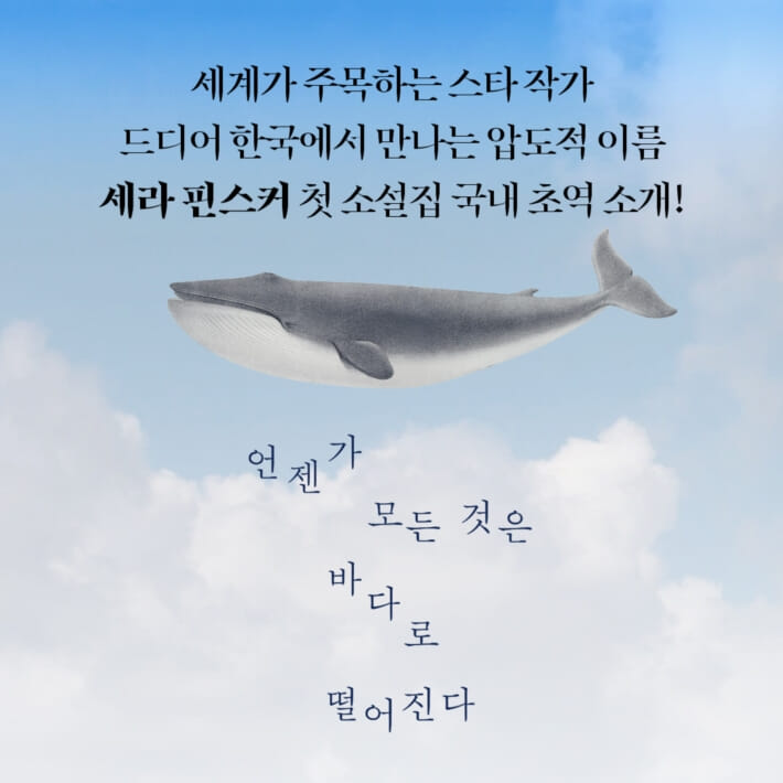 카드뉴스2