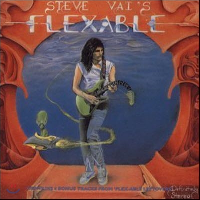 [중고] Steve Vai / Steve Vai&#39;s Flex-Able (수입)