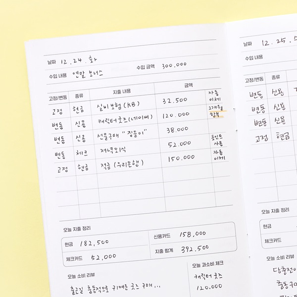 월간소비 플래너(1개월,데일리,가계부,캐시북)