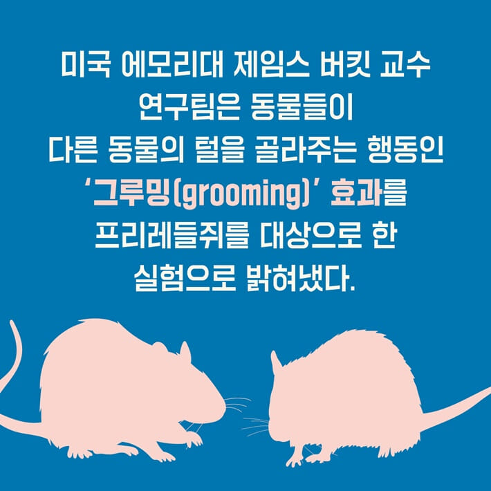 카드뉴스1
