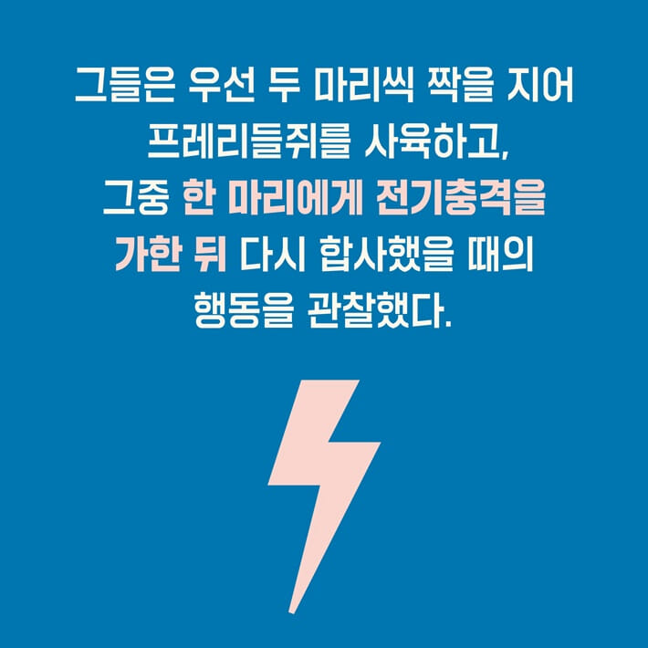 카드뉴스2