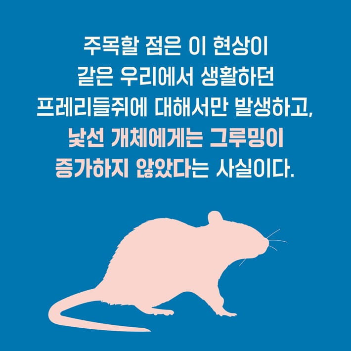 카드뉴스4