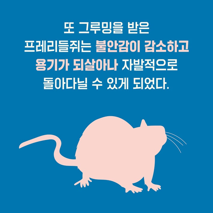 카드뉴스5