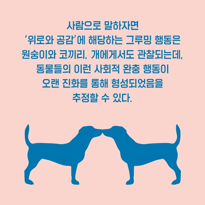 카드뉴스6