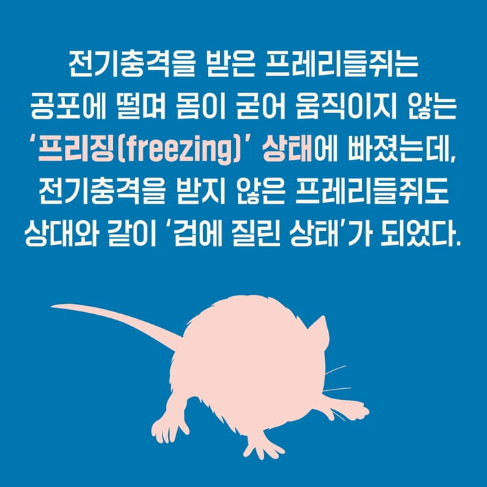 카드뉴스10