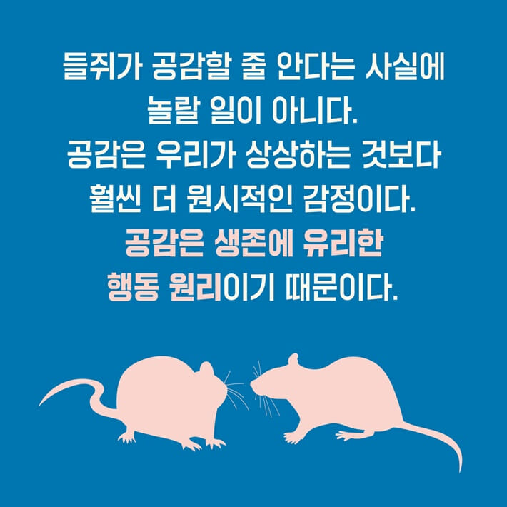 카드뉴스11