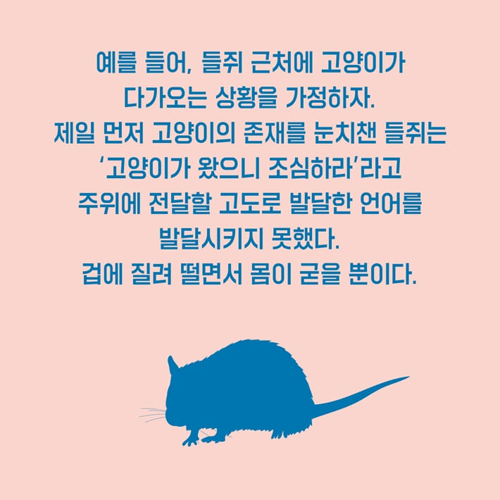 카드뉴스12
