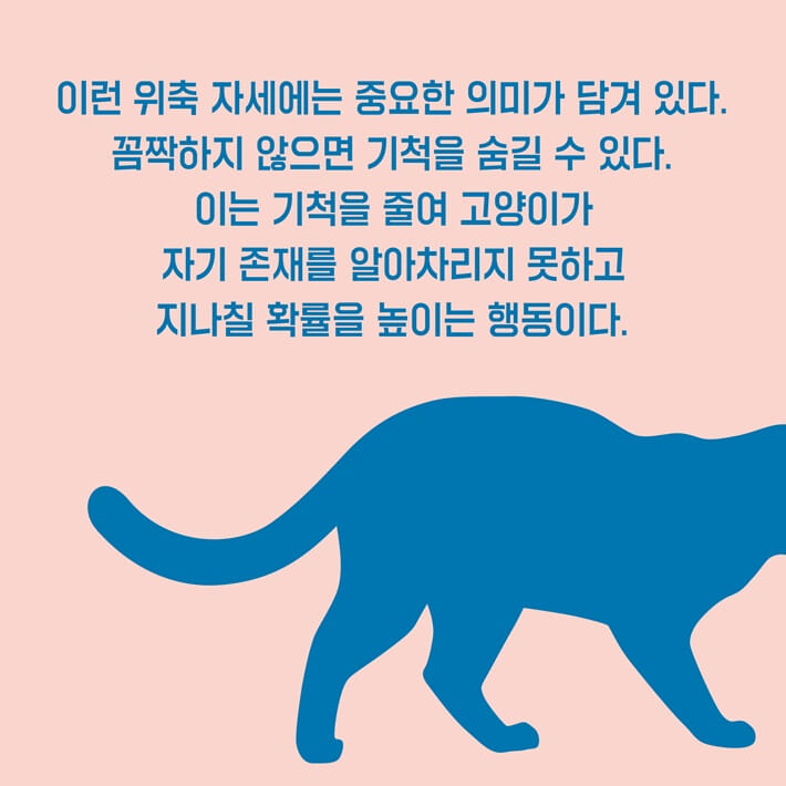 카드뉴스13