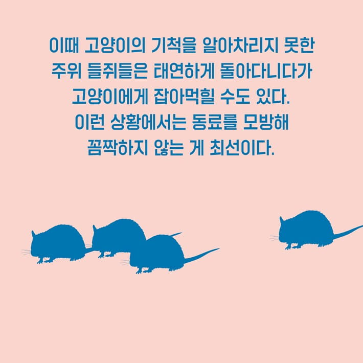 카드뉴스14