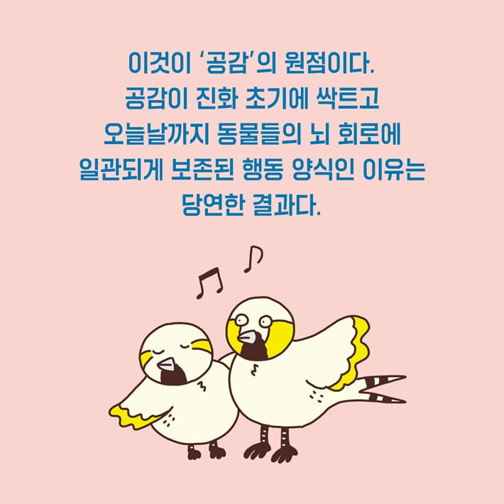 카드뉴스15