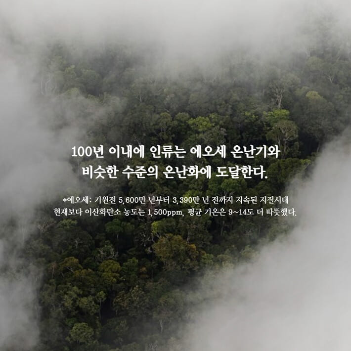 카드뉴스2