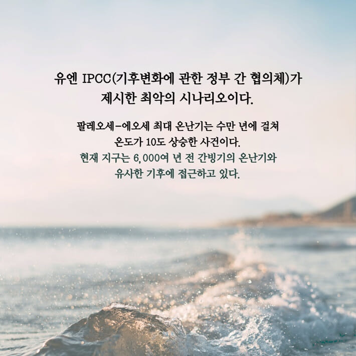 카드뉴스3