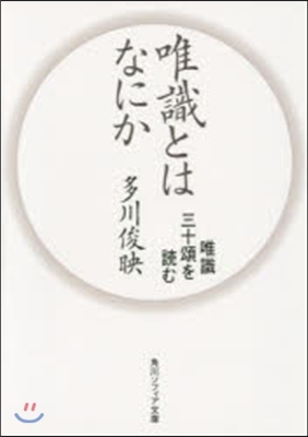 唯識とはなにか 唯識三十頌を讀む