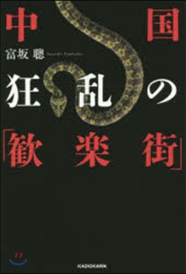 中國 狂亂の「歡樂街」