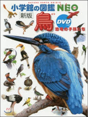 鳥 新版 DVDつき