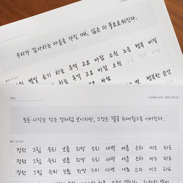 [예스24배송] 글씨를 쓰다 - 개성 있는 캘리 글씨 (7가지 글씨체 연습 교정 노트) 어른학습지⑥