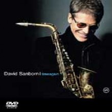 David Sanborn - Timeagain [DVD Audio]