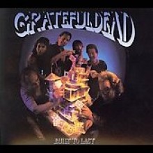 Grateful Dead - Built to Last (Remastered & Expanded)