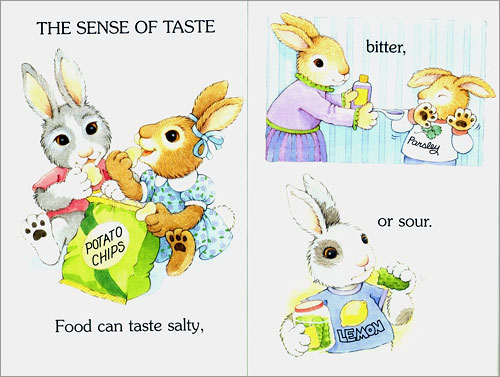 Scholastic Hello Reader Level 1 : Busy Bunnies' Five Senses