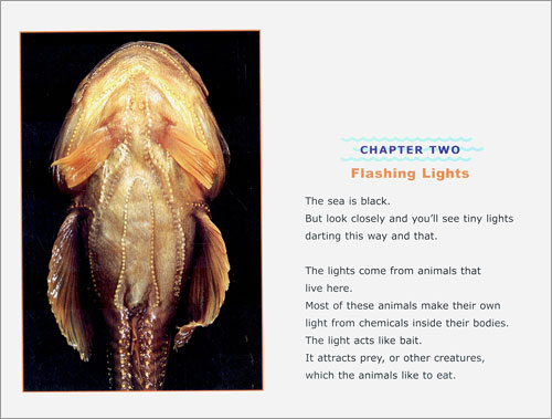 Scholastic Hello Science Reader Level 3 : Dive! A Book of Deep Sea Creatures