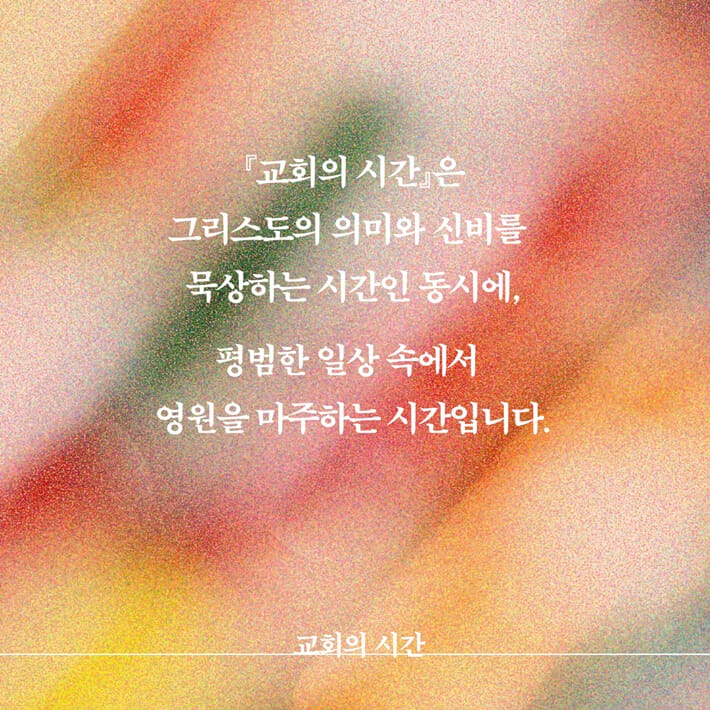 카드뉴스8