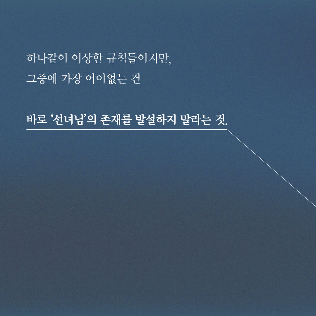 카드뉴스