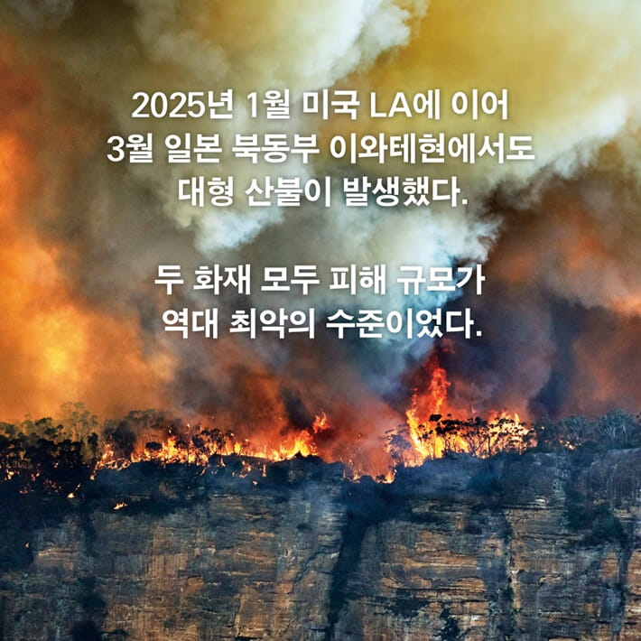 카드뉴스1