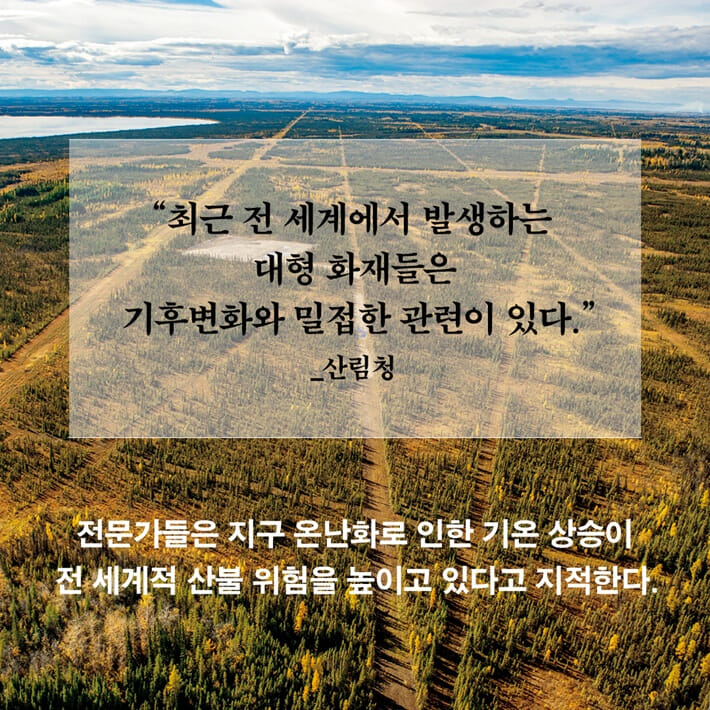 카드뉴스3