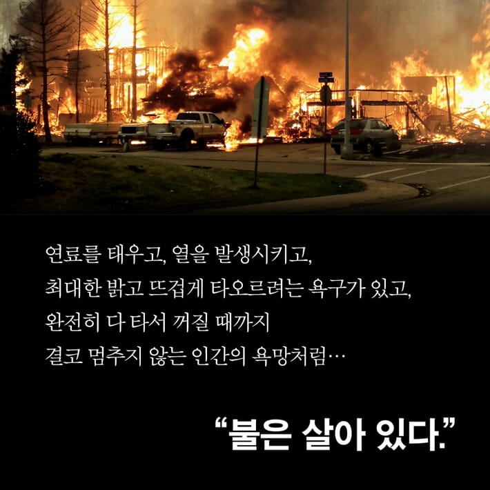 카드뉴스5