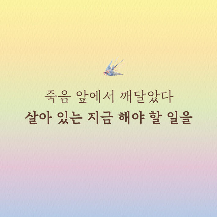 카드뉴스1