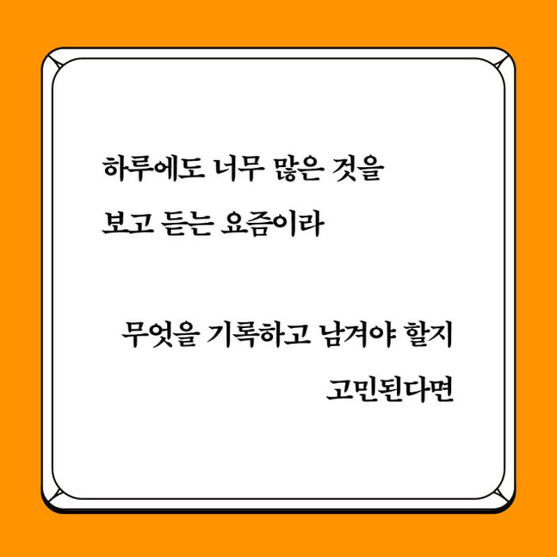카드뉴스3