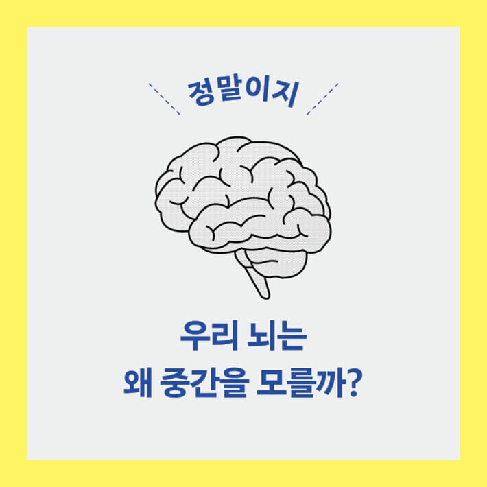 카드뉴스5