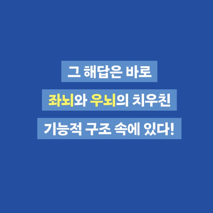 카드뉴스6
