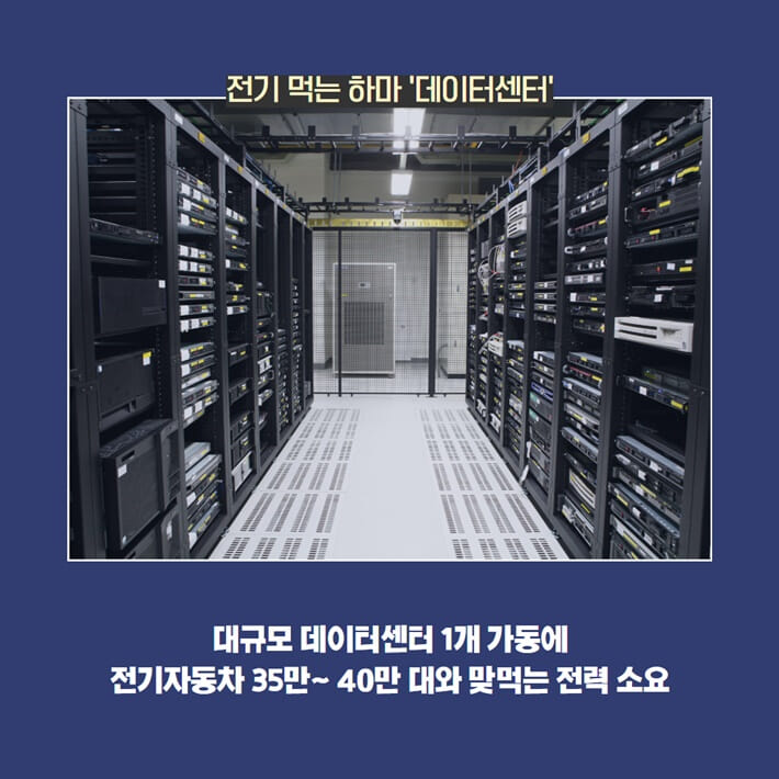 카드뉴스3