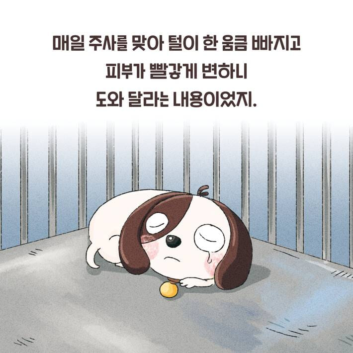 카드뉴스2