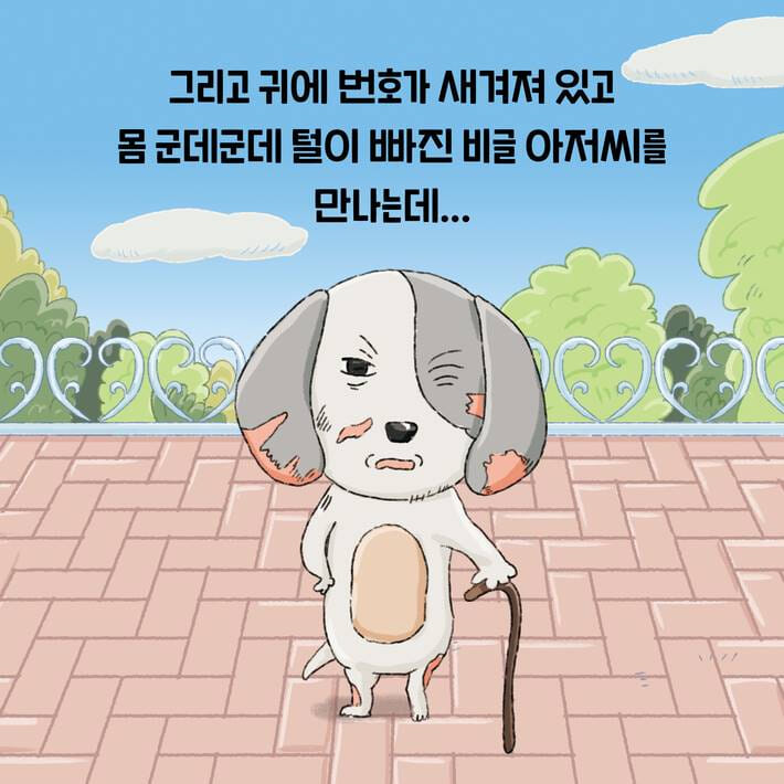 카드뉴스5