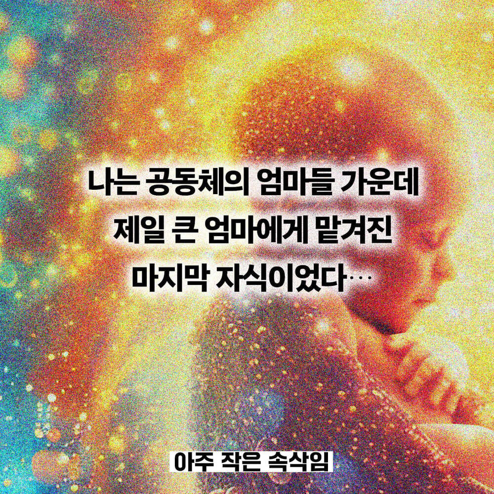카드뉴스