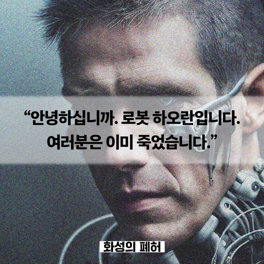 카드뉴스