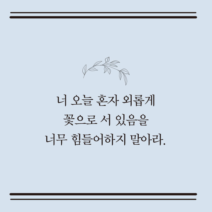 나태주의 풀꽃 인생수업