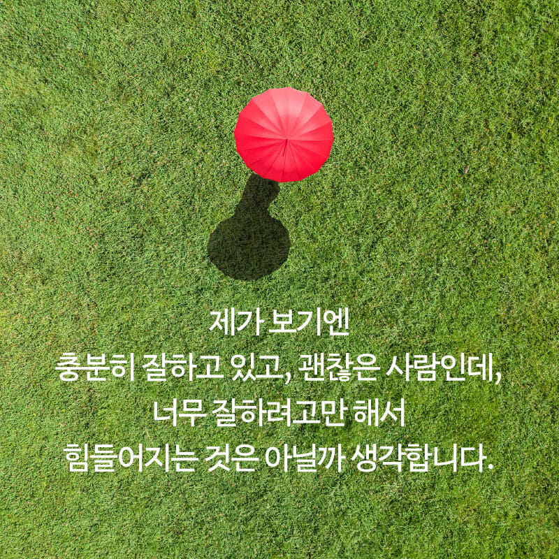카드뉴스