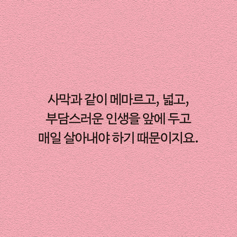 카드뉴스