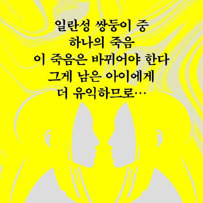 카드뉴스6