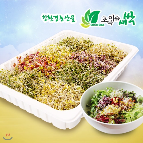 초록이슬새싹/새싹채소(450g)/브로콜리/유채/콜라비/적무/배추/무공해식품/무농약