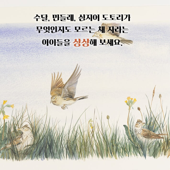 카드뉴스3