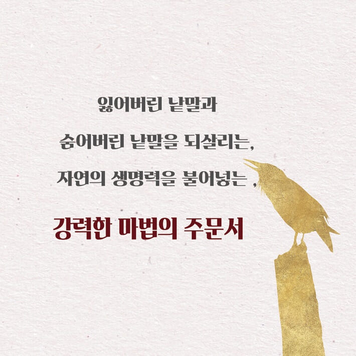 카드뉴스4